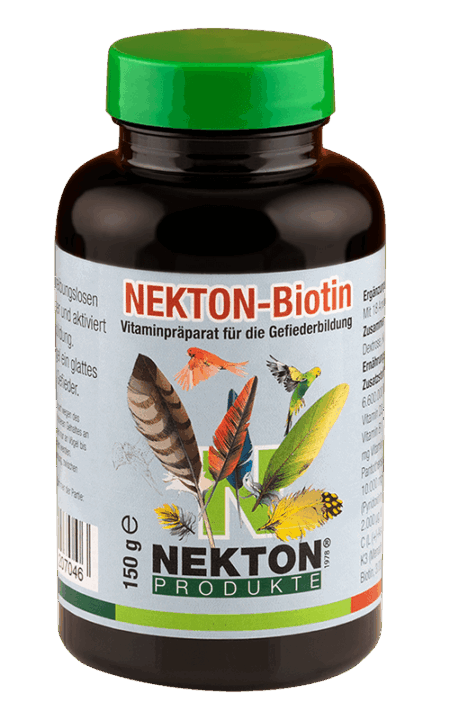 Nekton Bitoin