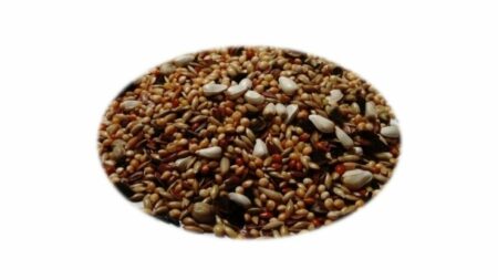 Mixtura Agapornis Energy