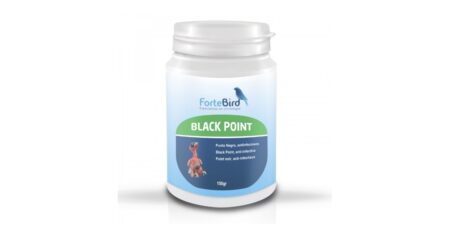 Black Point Fortebird