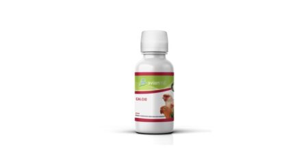 Calcio Avianvet 100ml