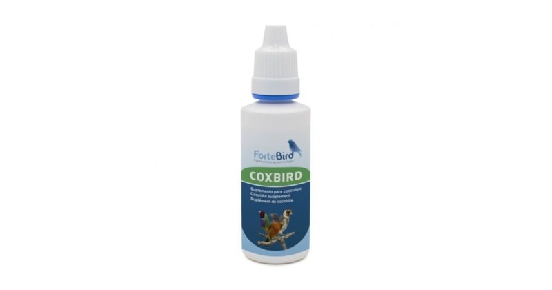 Coxbird Fortebird