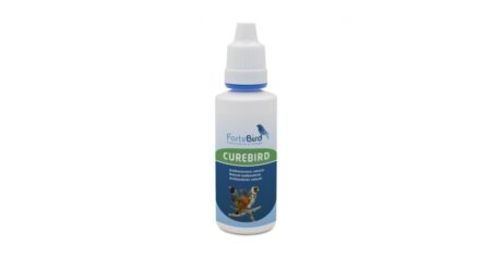 Curebird Fortebird