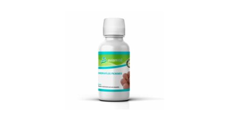 Hidraplus Pichones Avianvet