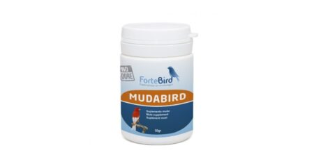 Mudabird Fortebird