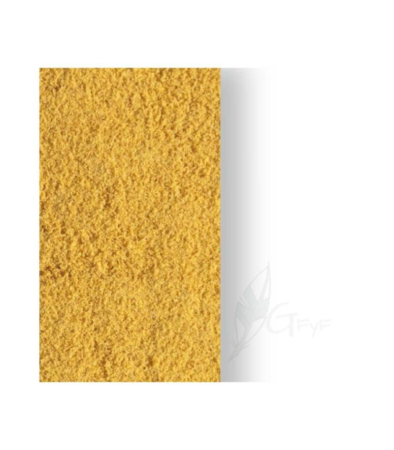 Papilla Canarios Serinus - Imagen 2