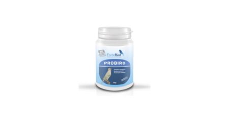 Probird Fortebird