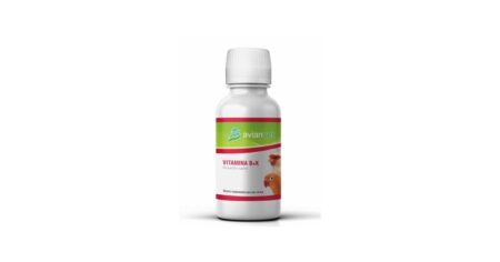 Vitamina B+K Avianvet