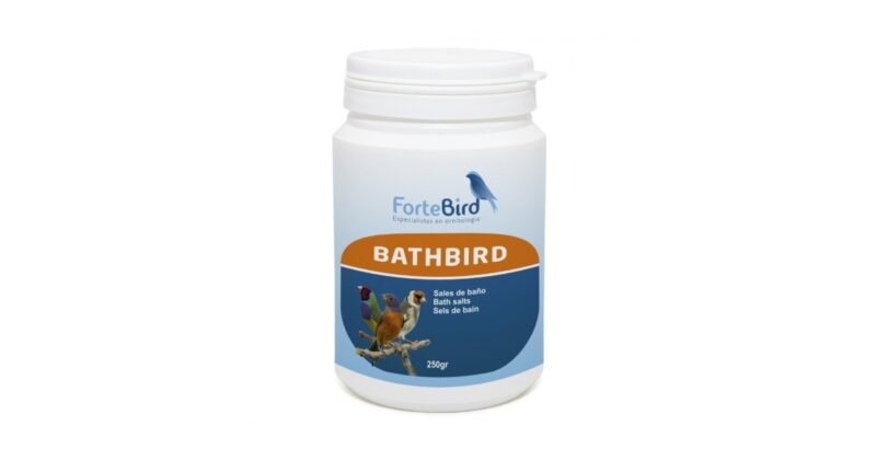 Bathbird Fortebird