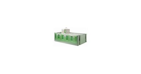   Maxi-Tino de 10 secondinos (mod.234) 2Gr