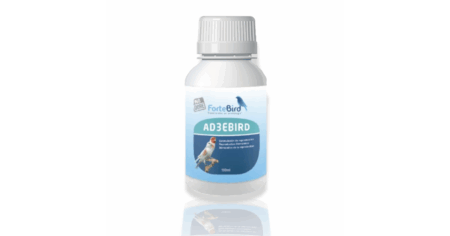 Ad3ebird Fortebird