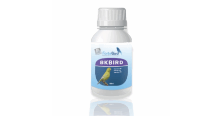 BKbird Fortebird