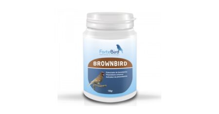 Brownbird Fortebird