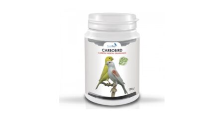 Carbobird Fortebird