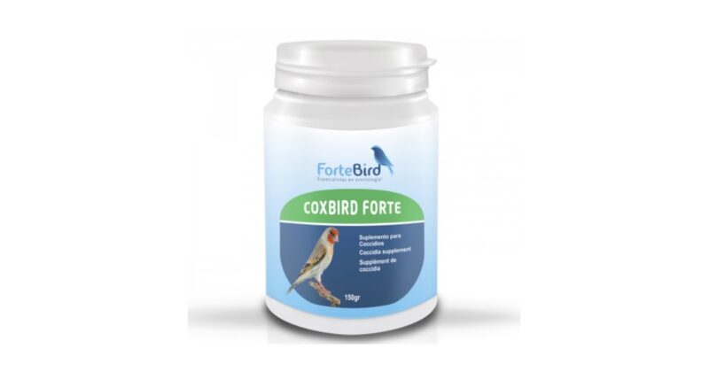 Coxbird Forte Fortebird