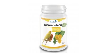 Diente de León Natur Fortebird