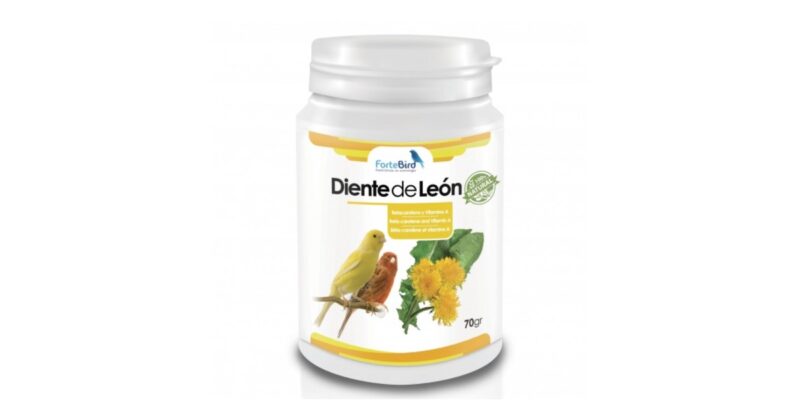 Diente de León Natur Fortebird