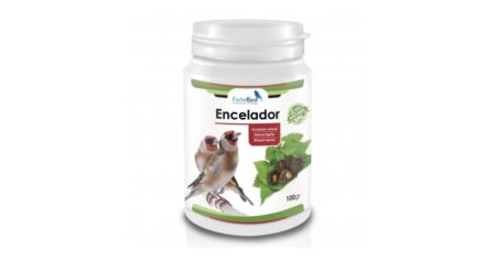 Encelador Natur Fortebird