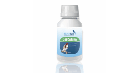 Oregabird Fortebird