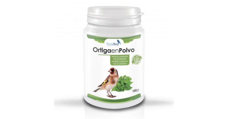 Ortiga en Polvo Fortebird