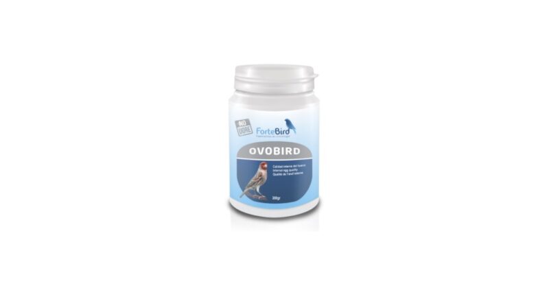 Ovobird Fortebird