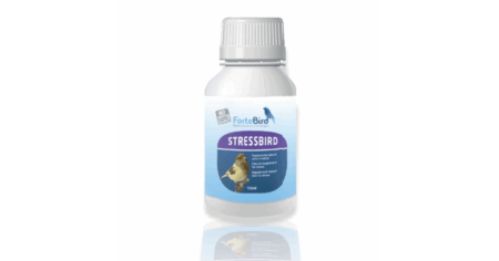 Stressbird Fortebird