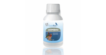Vermibird Fortebird
