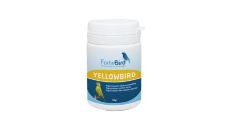 Yellowbird Fortebird