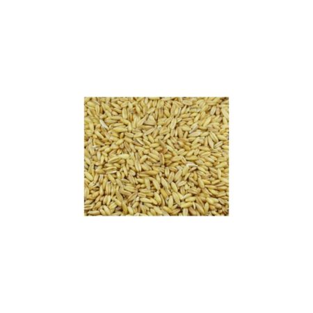 AVENA