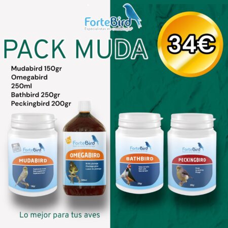 PACK MUDA FORTEBIRD