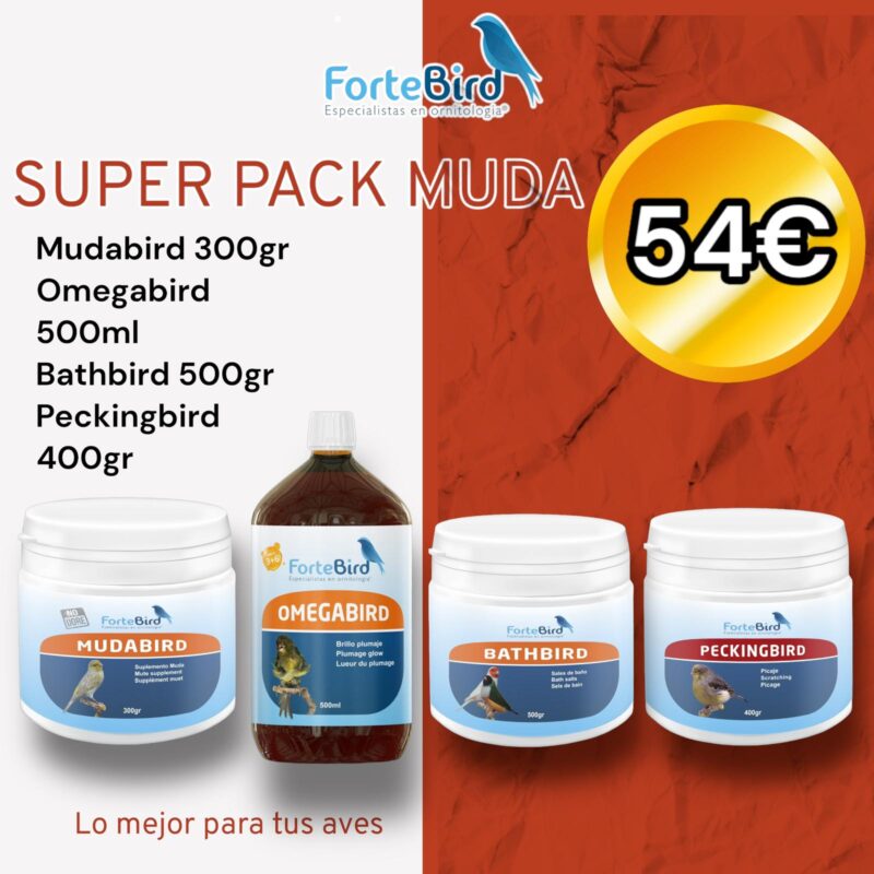 SUPER PACK MUDA FORTEBIRD