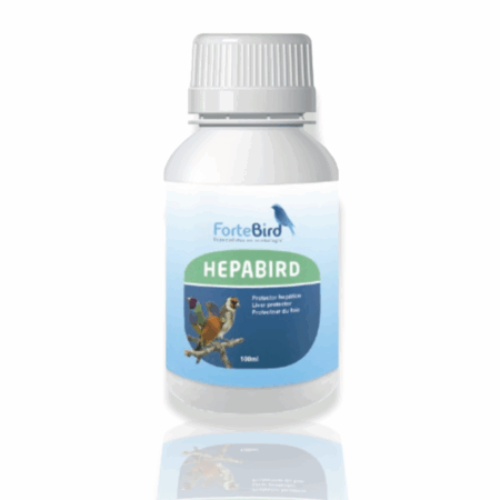 HEPABIRD FORTEBIRD
