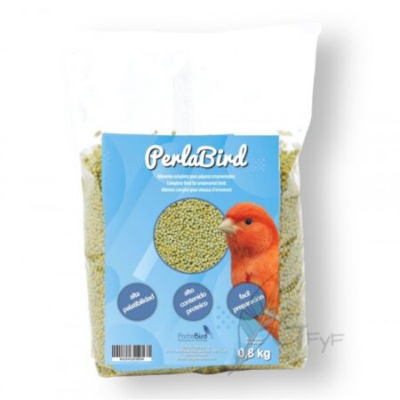 PERLABIRD FORTEBIRD
