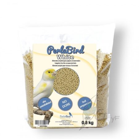 PERLABIRD WHITE FORTEBIRD