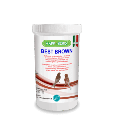 Best Brown (Canarios Phaeo, pastel y opal) HAPPY BIRD