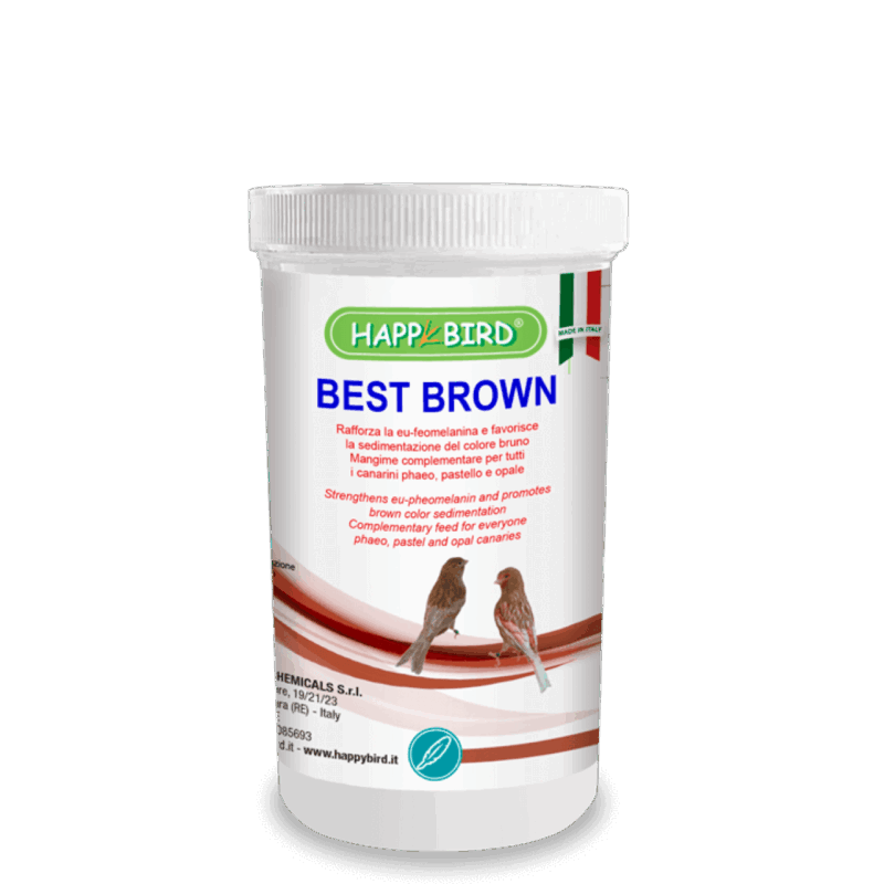 Best Brown (Canarios Phaeo, pastel y opal) HAPPY BIRD