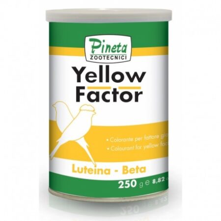 YELLOW FACTOR PINETA