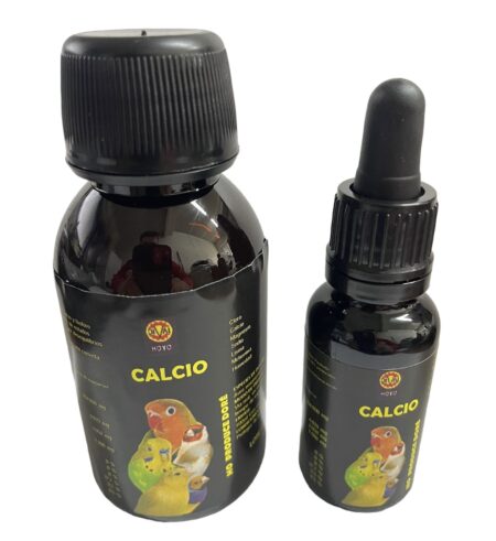 CALCIO DIVAL HOYO