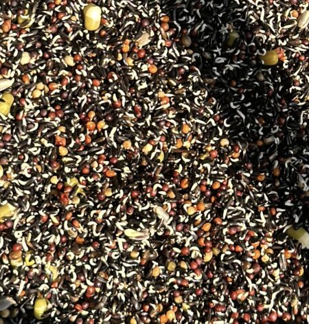 SEMILLAS ALTA GERMINACION