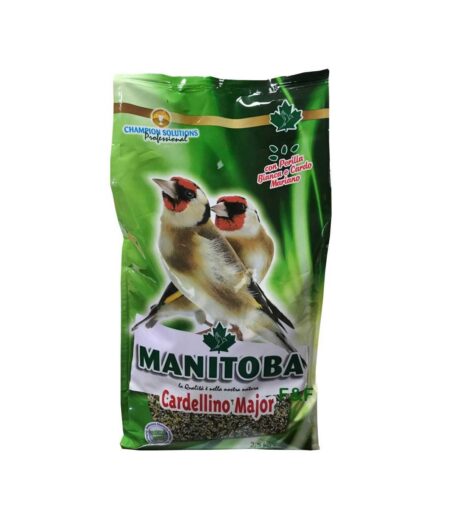 Mixtura Jilguero Cardellino Mayor Manitoba