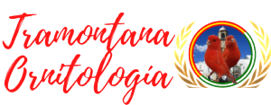 26137-300x117 - Editada
