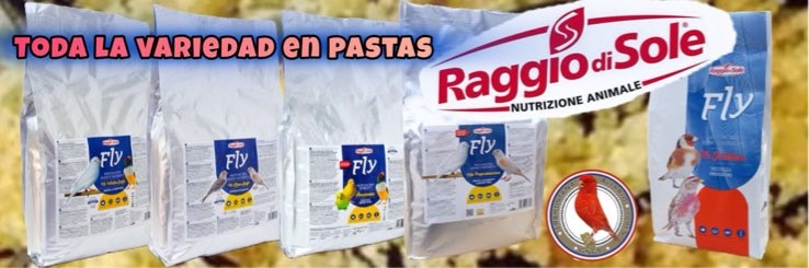 684BA137-AFE5-402D-A0F3-5228379DFD83compressed