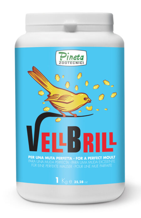 Vell Brill 200gr Pineta