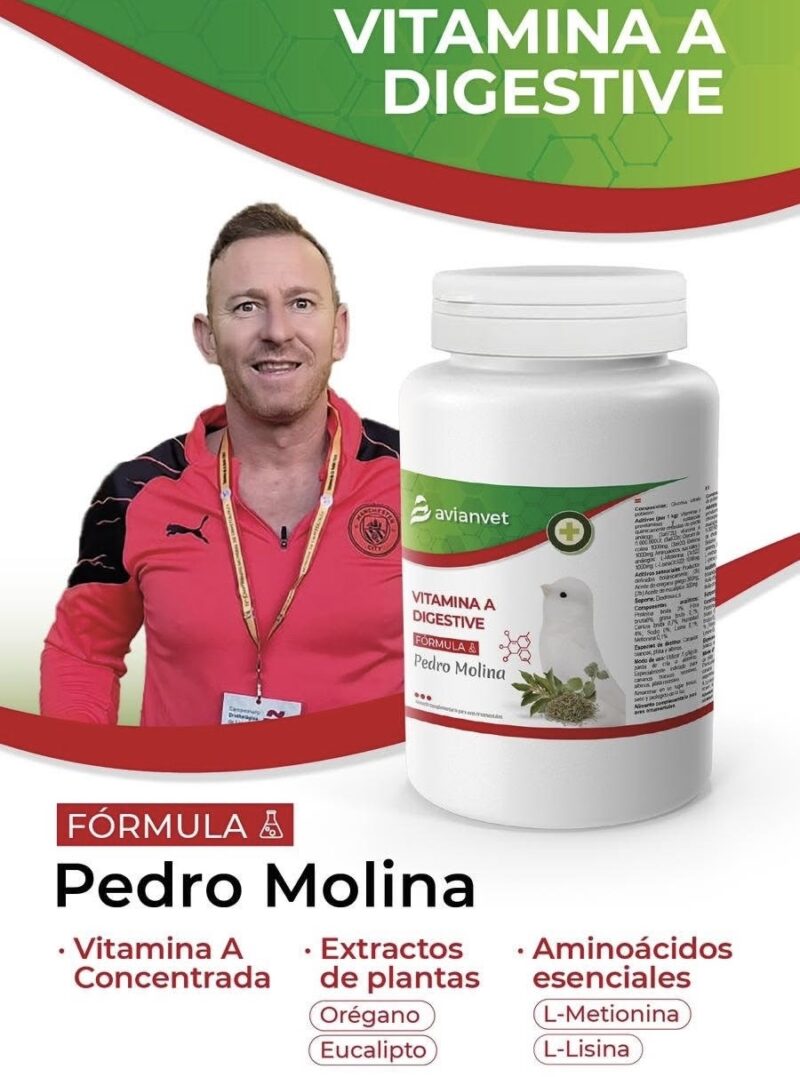VITAMINA A DIGESTIVE AVIANVET PEDRO MOLINA