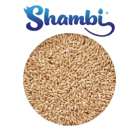 Alpiste Shambi 20 kg